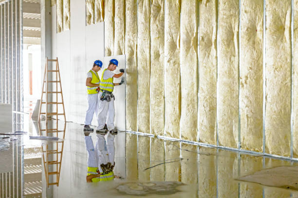 Best Insulation Maintenance and Repair in Providence, UT